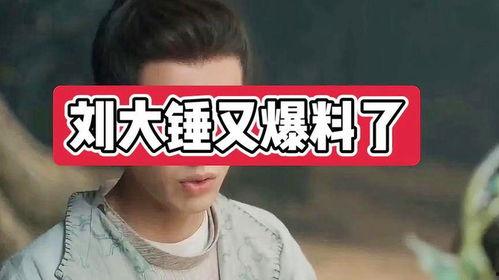 刘大锤爆料全程视频,揭秘事件真相与幕后黑幕  第2张