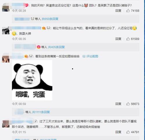 娱乐圈爆料吴瑾言,揭秘明星背后的故事 第2张 娱乐圈爆料吴瑾言,揭秘明星背后的故事 第2张