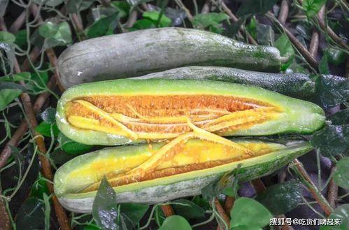 徐州百万网红吃瓜,共赴一场夏日吃瓜盛宴 第2张 徐州百万网红吃瓜,共赴一场夏日吃瓜盛宴 第2张