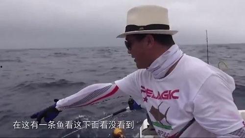 大钓哥完整版在线观看,在线观看，揭秘钓鱼高手传奇人生