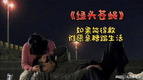 绿头苍蝇电影在线观看,惊悚悬疑,在线惊悚之旅 第2张 绿头苍蝇电影在线观看,惊悚悬疑,在线惊悚之旅 第2张