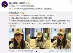 武成侯最新爆料新闻视频,最新爆料新闻视频深度解析