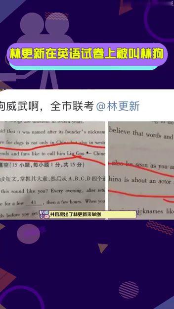 网友爆料英文视频大全集,英文视频大全集揭秘