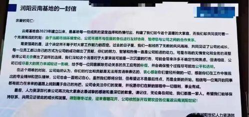 内部员工爆料最新消息,最新公司动态大曝光！