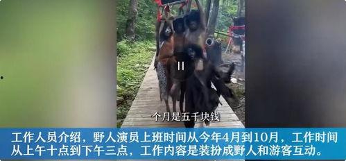 网红爆料野人是真的吗视频,野人视频真相揭秘，究竟是否存在神秘生物？