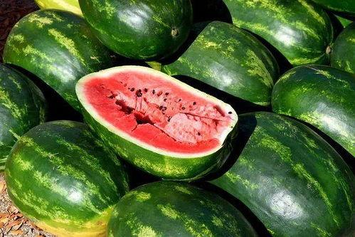 娱乐吃瓜素材视频,吃瓜群众必看的幕后花絮大放送！  第3张