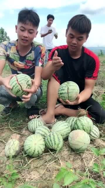 网红吃瓜 中国,揭秘网络热点背后的故事 第3张 网红吃瓜 中国,揭秘网络热点背后的故事 第3张