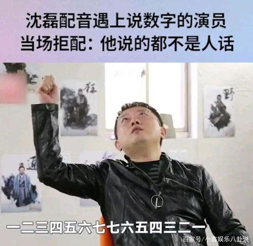 娱乐爆料的配音演员是谁,揭秘配音演员背后的神秘声音 第2张 娱乐爆料的配音演员是谁,揭秘配音演员背后的神秘声音 第2张
