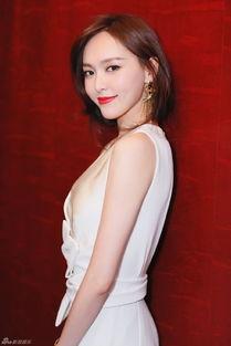 刘美丽爆料整容视频大全,揭秘明星美丽背后的秘密
