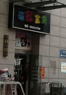 嘉善宠物店爆料视频大全,揭露行业黑幕与温馨瞬间