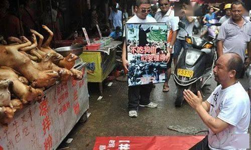 嘉善宠物店爆料视频大全,揭露行业黑幕与温馨瞬间 第2张 嘉善宠物店爆料视频大全,揭露行业黑幕与温馨瞬间 第2张