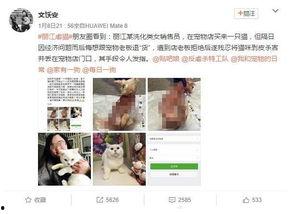 嘉善宠物店爆料视频大全,揭露行业黑幕与温馨瞬间 第3张 嘉善宠物店爆料视频大全,揭露行业黑幕与温馨瞬间 第3张