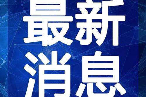 杜大姐最新爆料视频大全,揭秘娱乐圈不为人知的一面