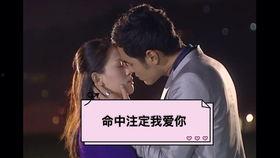 命中注定爱你在线观看