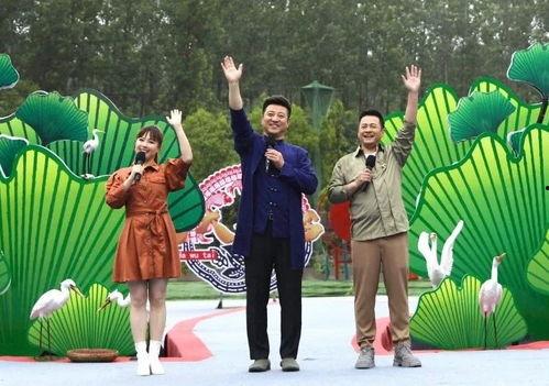 甜瓜爆料炮台视频大全最新,揭秘热门话题背后的真相与笑料  第3张