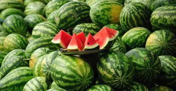 天津美院小网红吃瓜,揭秘校园八卦风云