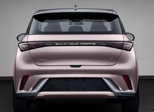 比亚迪海豚新款爆料视频,外观升级，性能再突破