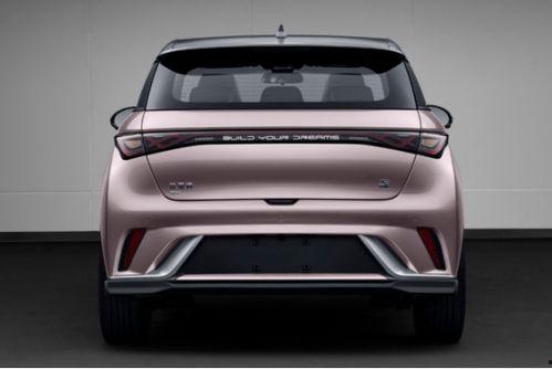 比亚迪海豚新款爆料视频,外观升级，性能再突破  第2张