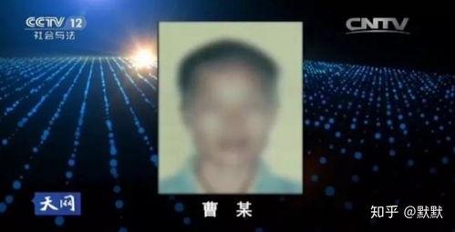 天网栏目在线观看,揭秘网络监控背后的故事 第3张 天网栏目在线观看,揭秘网络监控背后的故事 第3张