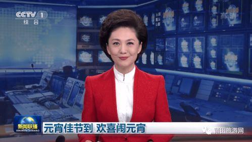 爆料视频莆田新闻联播,揭秘爆料视频背后的真相  第2张