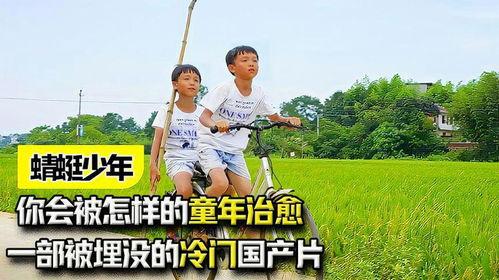 蜻蜓少年 在线观看,青春奇幻之旅在线观看指南  第3张