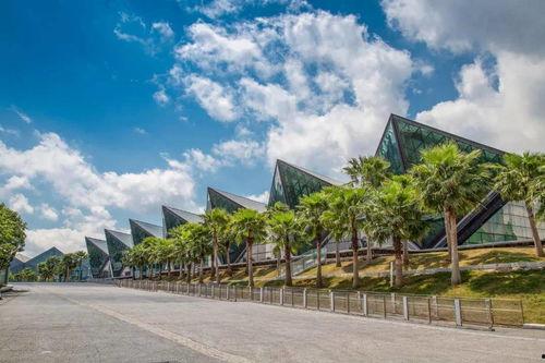 阜阳最新爆料深圳,揭秘深圳发展背后的故事”  第3张