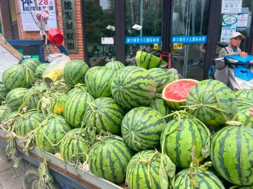 各种网红吃瓜qq群,揭秘娱乐圈幕后风云 第3张 各种网红吃瓜qq群,揭秘娱乐圈幕后风云 第3张