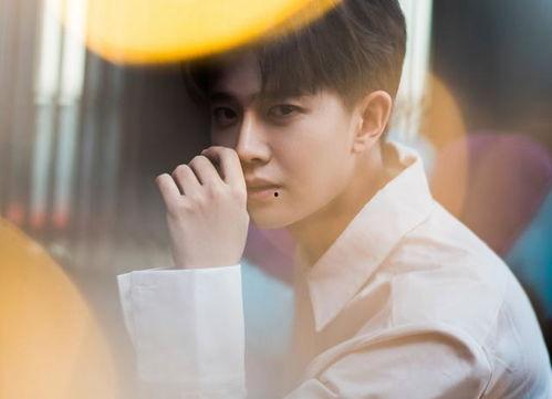 邢菲最新爆料视频,揭秘演艺圈幕后真相  第2张