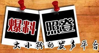 最近的爆料新闻,近期爆料新闻背后的惊人真相  第2张