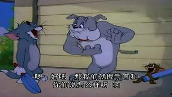 猫和老鼠怎么看爆料视频,揭秘猫和老鼠幕后爆料视频  第2张