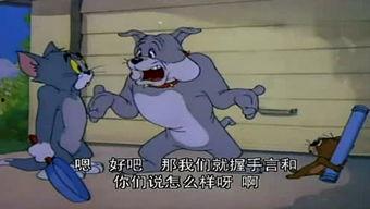 猫和老鼠怎么看爆料视频,揭秘猫和老鼠幕后爆料视频  第3张