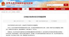 云南热点爆料新闻视频,揭秘神秘事件背后的真相  第3张