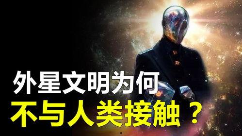教授爆料外星文明视频下载,教授独家披露外星文明视频下载全纪录  第2张