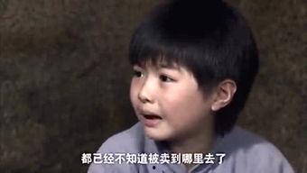 鹤轩身世爆料视频大全