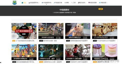 找亮点爆料视频素材下载,揭秘热门视频素材下载背后的亮点与独家爆料