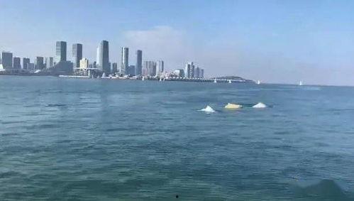 厦门海域爆料事件始末视频,真相追踪与舆论发酵全记录  第2张