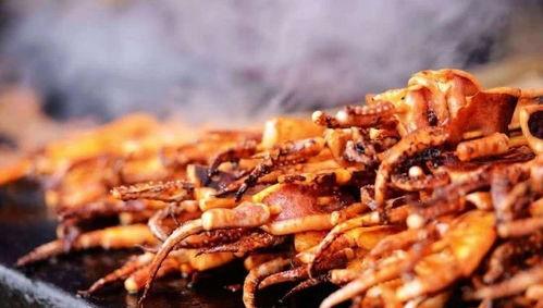 街头鱿鱼爆料视频大全最新,揭秘美食背后的秘密与传奇 第2张 街头鱿鱼爆料视频大全最新,揭秘美食背后的秘密与传奇 第2张