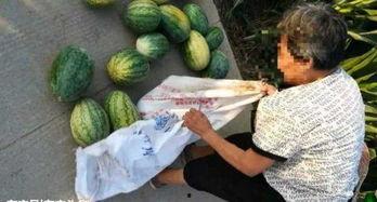 西安同城吃瓜最新爆料,揭秘同城热点事件幕后真相  第3张