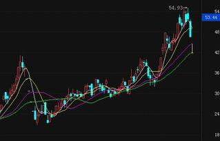 奥飞官方最新爆料消息,揭秘全新IP动画剧集背后的创作故事