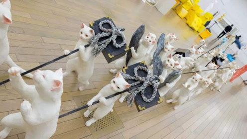 娱乐吃瓜君耍猴版,揭秘耍猴版背后的趣味与真相